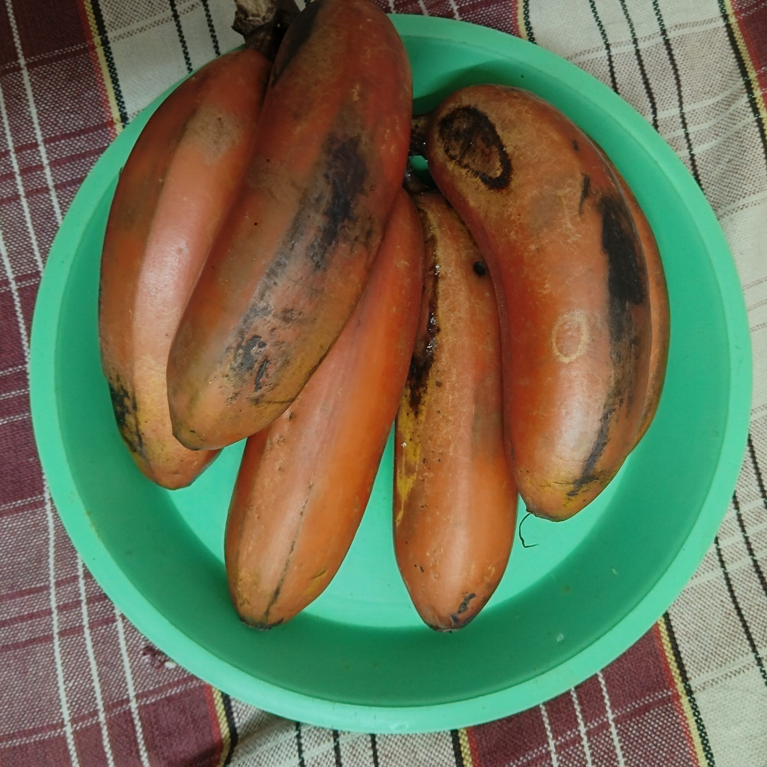 Red Banana and Benifits- health tips
